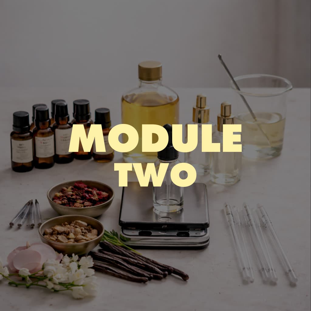 Perfume ingredients and supplies